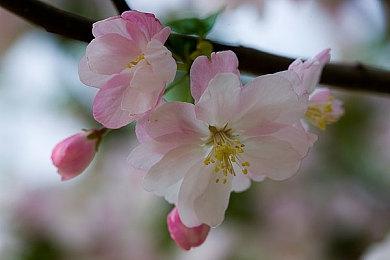 《生化奇兵》创作人：《犹大》是一款很传统的游戏